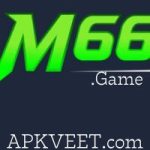 M66 Game