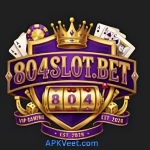 804Slot Game