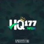 HQ177 Game