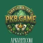 PK8 Game