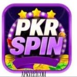 PKR Spin Game